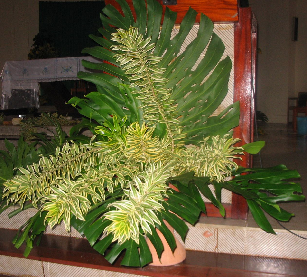 composition florale à base de dracaena