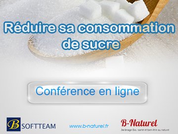 Webinaire Reduire sur le sucre