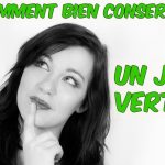 Conserver un jus vert : mes 12 conseils