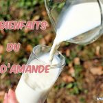 Quels sont les bienfaits du lait d’amande ?