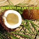 Les bienfaits du lait de coco