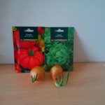 Planter des tomates, laitues et des oignons en appartement